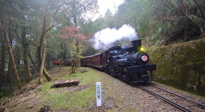 蒸汽火車行駛祝山線(廖遠橋拍攝)