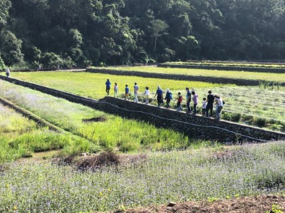 田邊巡禮解說(火炎山生態教育館李靜怡攝影)