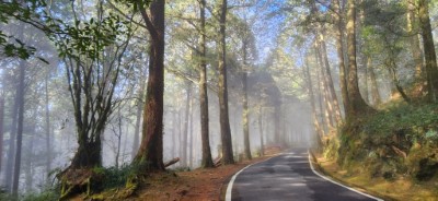 透過體驗阿里山自然美景放鬆身心