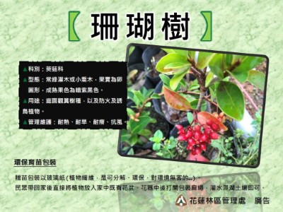 珊瑚樹
