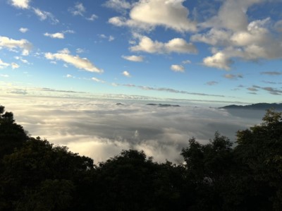 藤枝國家森林遊樂區雲海美景