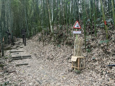 愛心竹杖是由嘉義林管處國家森林志工精心製作，希望讓山友登山更便利(此為瑞太古道)