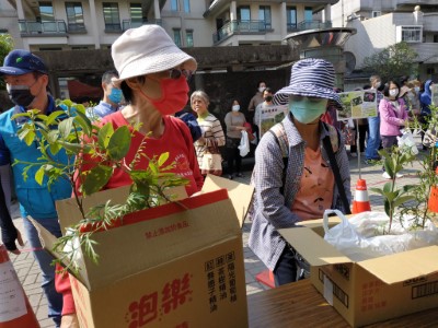 民眾自備紙箱領苗
