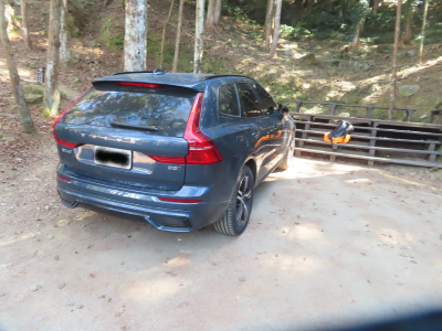 登山口停車亂相(新竹林管處提供)