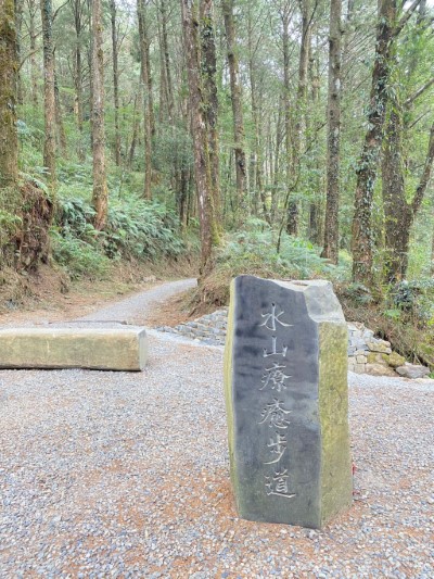 阿里山國家森林遊樂區內以森林療癒為主題的「水山療癒步道」11日正式啟用