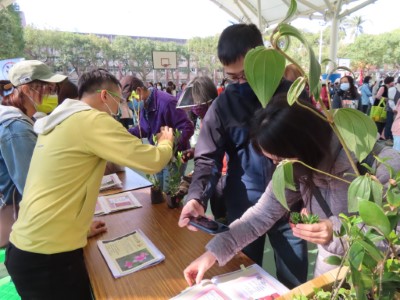大溪區公所贈苗活動同仁協助解說