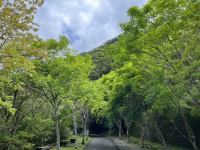 清涼舒爽的滿月圓國家森林遊樂區健行步道