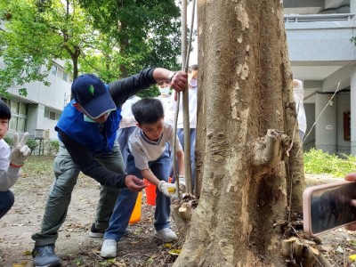 指導學生正確的修枝方法