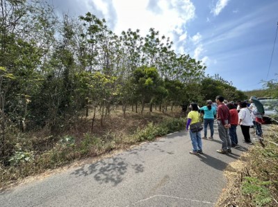 帶狀整地造林地說明及交流