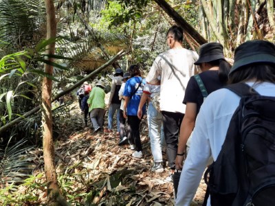 跟隨草山社區走進九彎仔手作步道，步道在建造時以擺放木段的天然方式固定土壤