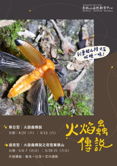 112年東眼山火焰蟲傳說活動宣傳海報_東眼山自然教育中心提供