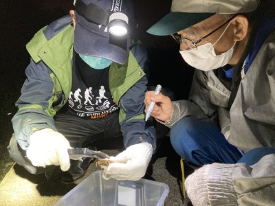 宜蘭縣蘇澳鎮大坑罟社區發展協會夥伴於保安林內進行陸蟹調查