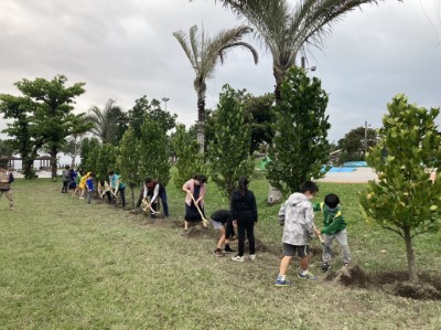 將北濱國小校舍前的菲島福木移植至北濱公園，為臺灣狐蝠保存重要的食源植物。