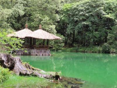 姊妹潭為遊客來阿里山國家森林遊樂區必訪景點