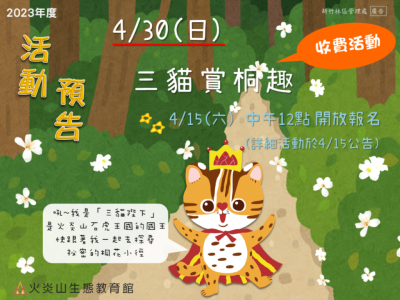 「三貓賞桐趣」活動預告
