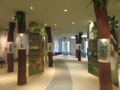 3樓展示區