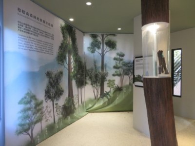 3樓展示區