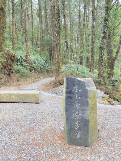 阿里山國家森林遊樂區「水山療癒步道」