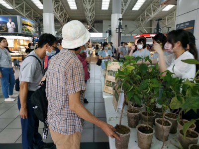 高鐵贈苗活動7