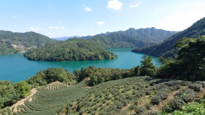 新北石碇永安社區食蛇龜保育(政大大學社會責任辦公室汪文豪提供)