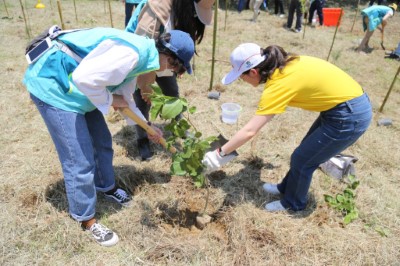 新竹林區管理處與新安東京海上產物保險股份有限公司員工合力植樹