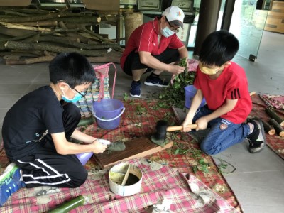 採集並敲打園區入侵種植物作為顏料來源