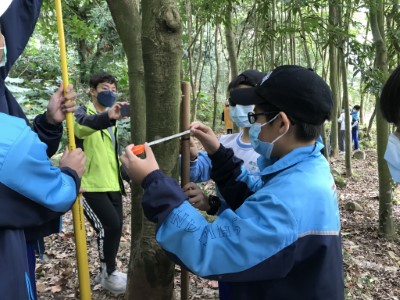 至樣區測量樹高樹圍，並計算固碳量