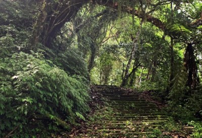 安通越嶺古道