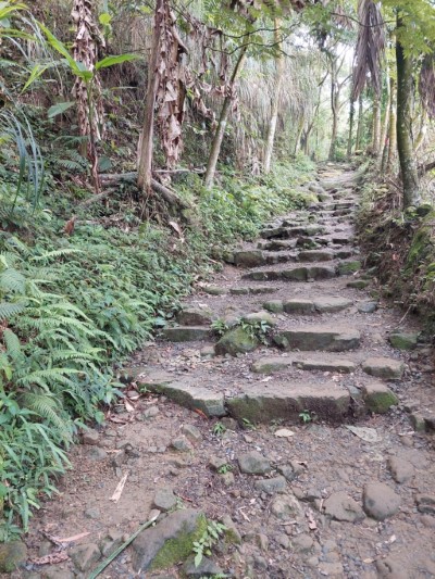 關子嶺大凍山步道為臺南市郊熱門的登山步道
