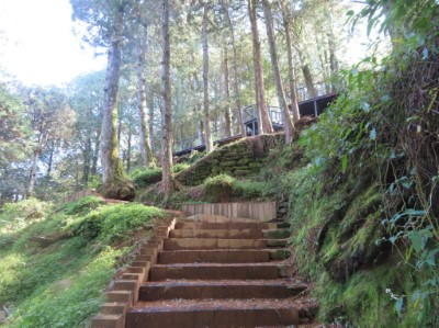 連結祝山林道與森林鐵路的水山線環狀步道工程(水山療癒步道)以手作降低生態干擾方式打造