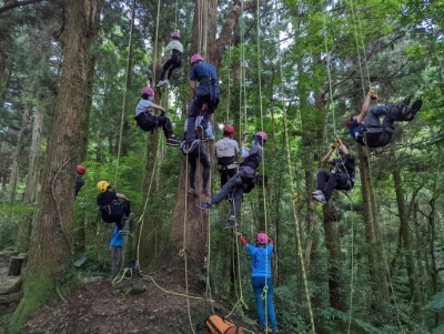 攀樹體驗情形(新竹林管處提供)