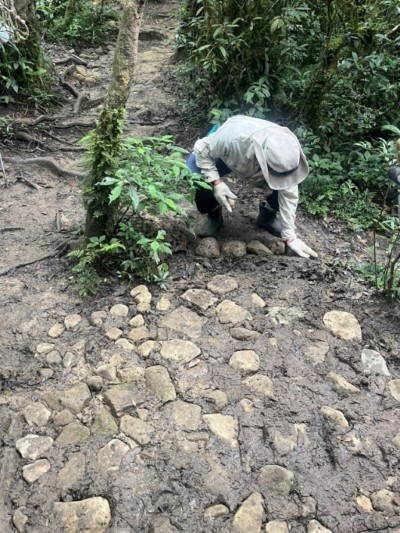 里龍山淨山1