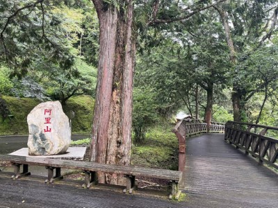 阿里山國家森林遊樂區因杜蘇芮颱風來襲，將於26日下午5時預警性休園