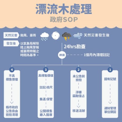 漂流木SOP2