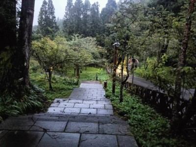 林業署嘉義分署已完成阿里山國家森林遊樂區巡查整備