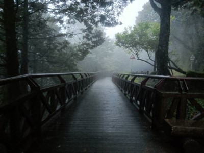 林業署嘉義分署提醒民眾雨後山區易有落石及坍方，務必注意自身安全