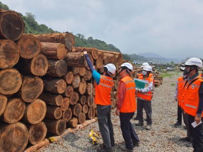 112年度FSC森林驗證-林業署嘉義分署觸口貯木場現地稽核