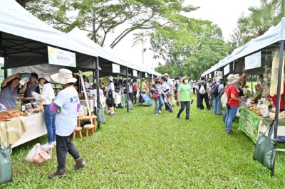 市集展示小花蔓澤蘭多元利用、國產材、林下經濟等產品