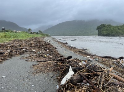 颱風後出現漂流木(物)堆積