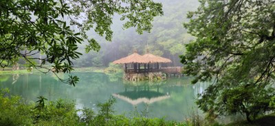 白天由專業的在地導覽員帶領學員認識阿里山的百年風華