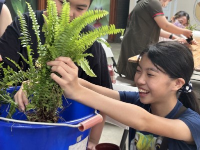苔球製作過程(東眼山自然教育中心提供)