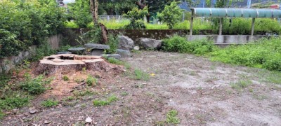 移除後現況
