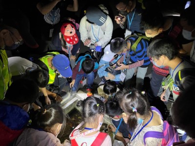 跟著達人的腳步一起尋找蛙類2(滿月圓遊客中心提供)