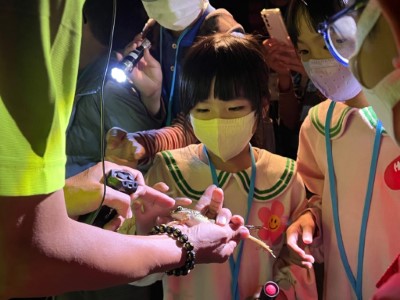跟著達人的腳步一起尋找青蛙(滿月圓遊客中心提供)