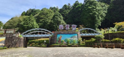 因應小犬颱風來襲，阿里山國家森林遊樂區預計明(4)日中午12時預警性休園