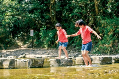 雙流國家森林遊樂區親近溪水感受舒心氛圍(林業保育署提供)