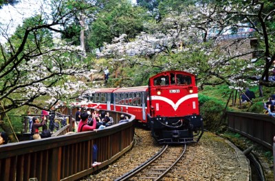 阿里山森林遊樂區