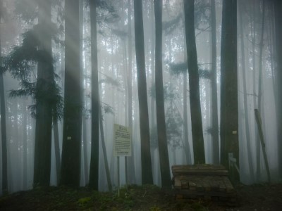 阿里山森林遊樂區