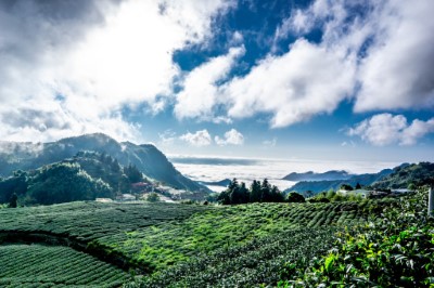 阿里山美景