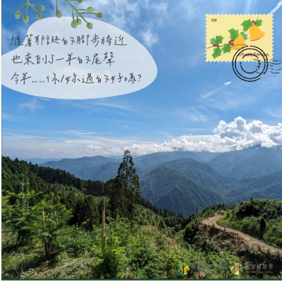 永泰林場以永續經營方式經營人工針葉林場（林業保育署新竹分署提供）